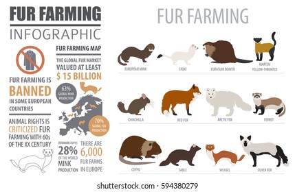 Fur farming infographic template. Flat design. Vector illustration