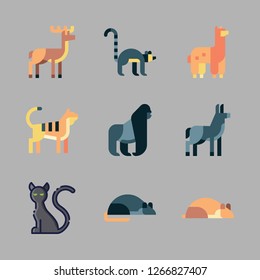 fur icon set. vector set about lemur, donkey, animals and alpaca icons set.