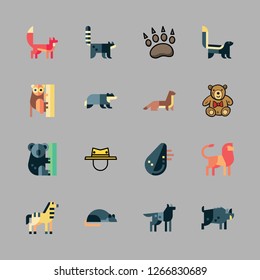 fur icon set. vector set about animal, hat, zebra and racoon icons set.