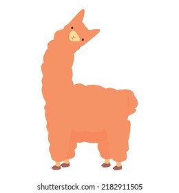 Fur lama icon cartoon vector. Funny lama. Animal baby