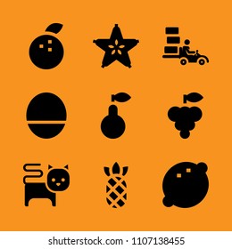 fur, raw, mango and young icon set. Vector illustration for web and design.