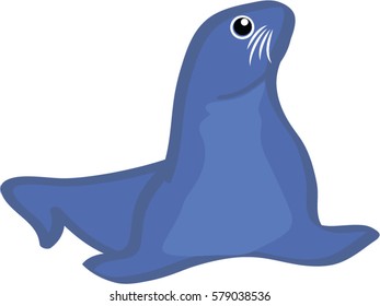 Fur seal