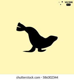 fur seal