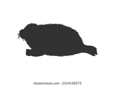 Fur seal baby, black silhouette icon, flat vector illustration isolated on white background. Marine mammal pup. Concept of education and games for kids. Pinniped animal.