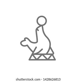 Fur seal, circus animal show line icon.
