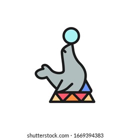 Fur seal, circus animal show flat color line icon.