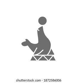 Fur seal, circus animal show grey icon.