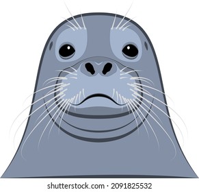 2,814 Close up of a seals face Images, Stock Photos & Vectors ...