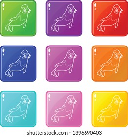 Fur seal icons set 9 color collection isolated on white for any design