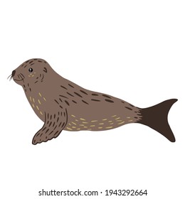 Fur seal isolated on white background. Cute animal gray color character design from arctic. Doodle style vector illustration.