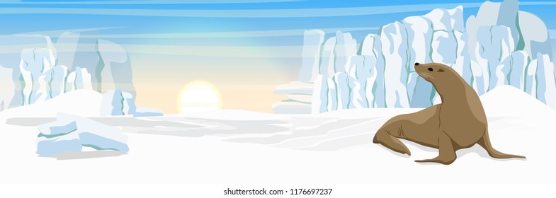 A fur seal on the snowy coast of the ocean. Glacier and shards of ice. Vector landscape of Alaska and other northern regions.