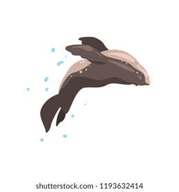 Fur seal performing in public in dolphinarium or circus vector Illustration on a white background