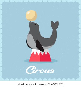Fur seal plays a bright ball on the stage of a circus