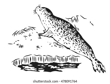 fur seal resting on ice. Hand drawn illustration