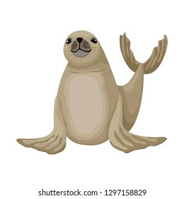 The fur seal rests on the fins and raises the tail. Antarctic animal playing and smiling. Flat style vector cartoon illustration. Isolated on white background.