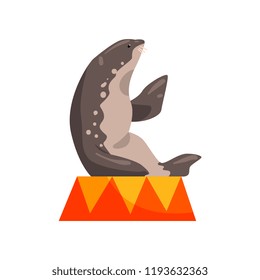 Fur seal sitting on a pedestal, sea animal performing in public in dolphinarium orcirus vector Illustration on a white background