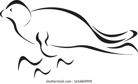 Fur seal vector animal hand drawn character. Isolated on white background . Concept for logo, cards, web design , label 