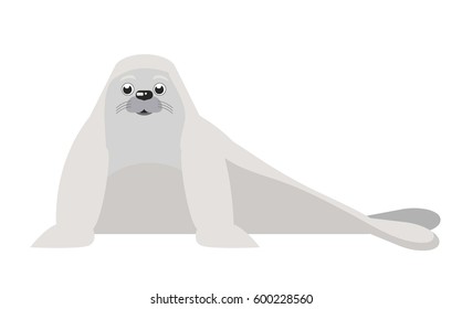 fur seal. vector illustration. Flat design style. Isolated on a white background.