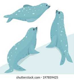 Fur Seal Wildlife Illustration Set. Three seals in different poses. Layered Vector illustration EPS8.