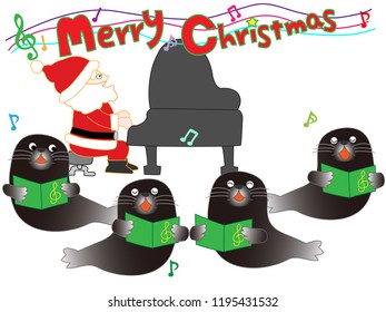 Fur seals sing at Christmas concerts and play musical instruments.
