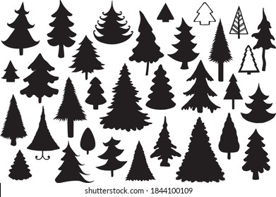 Fur- tree silhouettes on white background