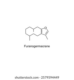 Furanogermacrane skeletal structure.Sesquiterpene compound schematic illustration. Simple diagram, chemical structure.