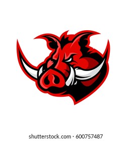 Furious boar head sport club vector logo concept isolated on white background. Modern professional team badge design. Premium quality wild animal t-shirt tee print illustration.