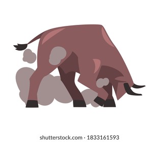 Furious Fighting Bull, Spanish Corrida Traditional Performance Cartoon Style Vector Illustration