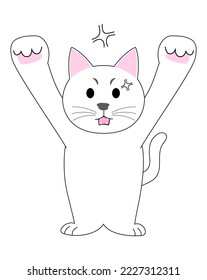 Furious White Kitten with white background