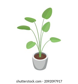 Furniture isometric composition with isolated image of plant in pot on blank background vector illustration