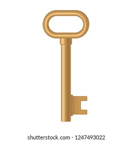 Furniture key icon. Color vector flat illustration for info graphic, poster, web. Isolated on white background.