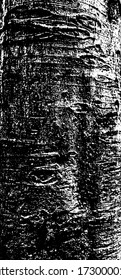 Robust deep furrowed plate raw lumber. Rough uneven surface wooden cortex. Rural forest environment. Outer layer of bark cork oak. Abandoned ancient structure, decor rustic design rugged rind for 3d
