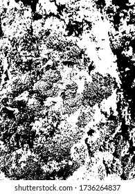 Textura vectorial blanca negra de la capa cortical de madera vieja. Superficie embosada de corteza de árbol