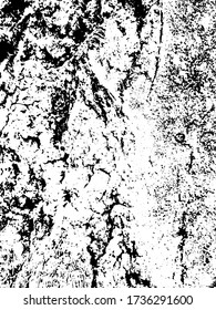 Robust deep furrowed plate raw lumber. Rough uneven surface wooden cortex. Rural forest environment. Outer layer of bark cork oak. Abandoned ancient structure, decor rustic design rugged rind for 3d