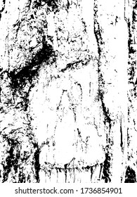 Robust deep furrowed plate raw lumber. Rough uneven surface wooden cortex. Rural forest environment. Outer layer of bark cork oak. Abandoned ancient structure, decor rustic design rugged rind for 3d