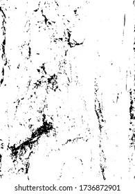 Robust deep furrowed plate raw lumber. Rough uneven surface wooden cortex. Rural forest environment. Outer layer of bark cork oak. Abandoned ancient structure, decor rustic design rugged rind for 3d