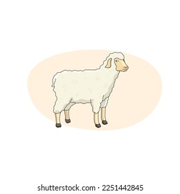 Furry, adult and cute sheep. Vector illustration.