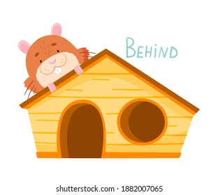 Furry Brown Hamster Standing Behind the Wooden House Vector Illustration
