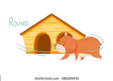 Furry Brown Hamster Walking Round the Wooden House Vector Illustration