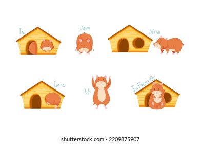 Furry Brown Hamster with Wooden House Demonstrating English Preposition of Movement Vector Set