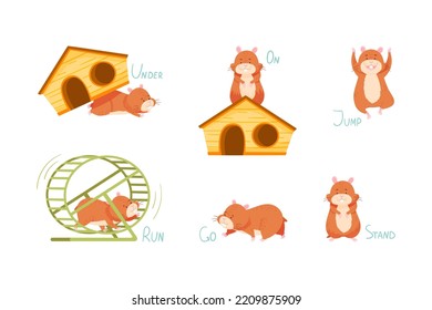 Furry Brown Hamster with Wooden House Demonstrating English Verb and Preposition Vector Set