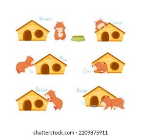 Furry Brown Hamster with Wooden House Demonstrating English Preposition of Movement Vector Set