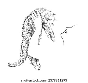 
Furry cat in the hands of a silhouette girl