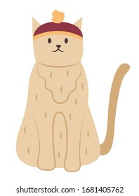 Furry cat wearing funny hat, isolated feline creature with coat sitting still. Resting pet with tail and paws. Mammal face with whiskers. Portrait of domestic cat in close up vector in flat style