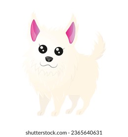 furry, cream dog with pink ears breed german spitz