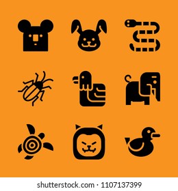 furry, creature, beach and decoration icon set. Vector illustration for web and design.