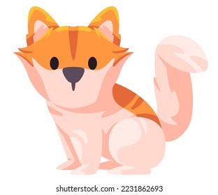 Furry dog cub puppy sitting vector illustration graphic friendlu pet orange white color