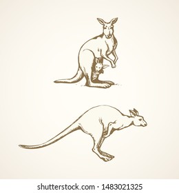 Furry female dog wallaroo run on white backdrop. Freehand linear black ink hand drawn picture logo emblem sketchy in art retro scribble style pen on paper. Closeup side view with space for text on sky