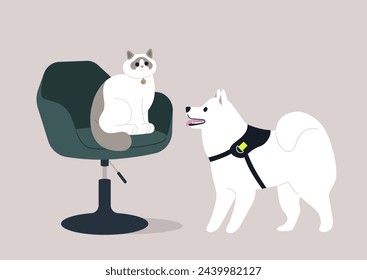 Furry Friends Meeting, Ragdoll Cat und Samoyed Dog Face-to-Face, Eine verdächtige Ragdoll-Katze sitzt auf einem Bürostuhl und beobachtet kalt einen neugierigen Samoyed-Hund