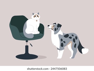 Furry Friends Meeting, Ragdoll Cat and border collie Dog Face-to-Face, A suspicious Ragdoll cat sits atop an office chair, coldly observing an inquisitive blue marble colored dog